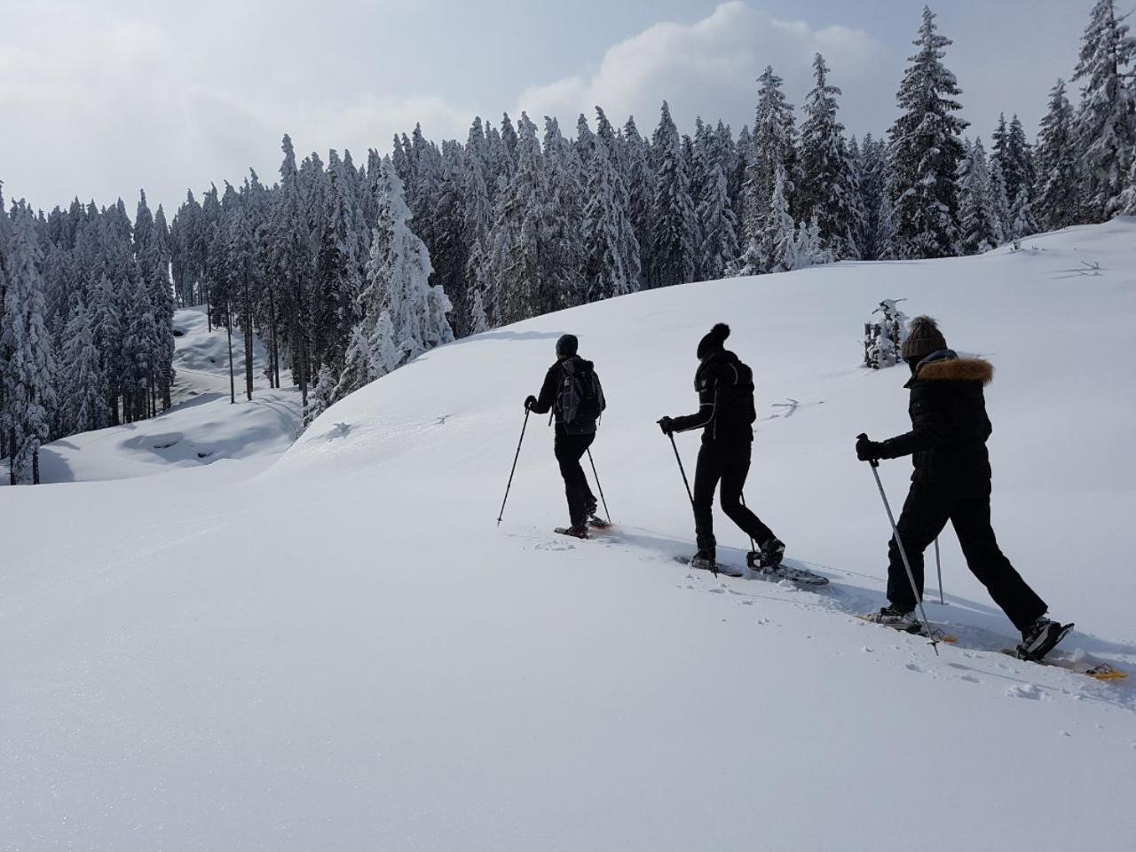 Hotel Dorfgasthof Schloesslstube Stuhlfelden ภายนอก รูปภาพ